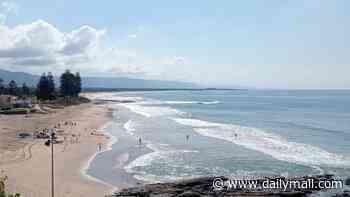 Body is found in urgent search for swimmer who disappeared in the water at North Wollongong