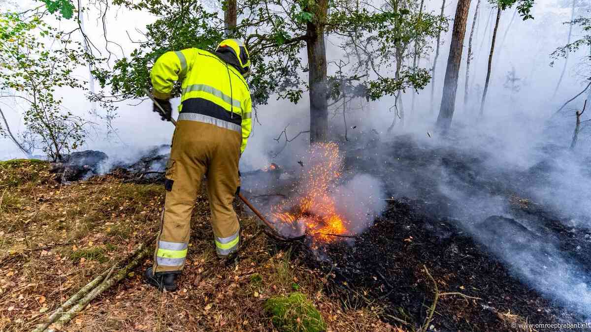 Fikse brand in natuurgebied Herperduin bij Oss