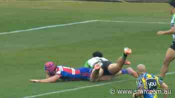 Ponga teams up with Young to stamp Knights on board
