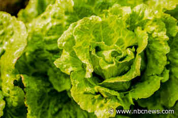 Michigan says salad is safe again as state’s cyclosporiasis cases fall