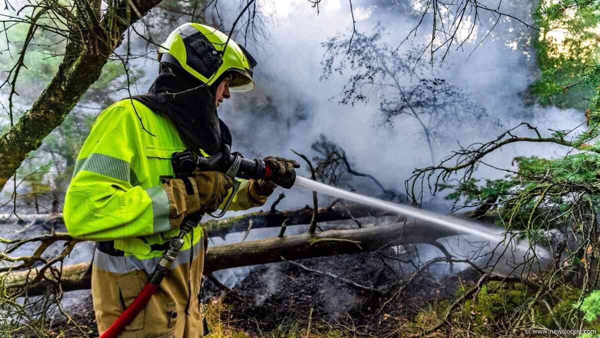 LIVE | Natuurbrand in Herperduin bij Oss, veel brandweer aanwezig