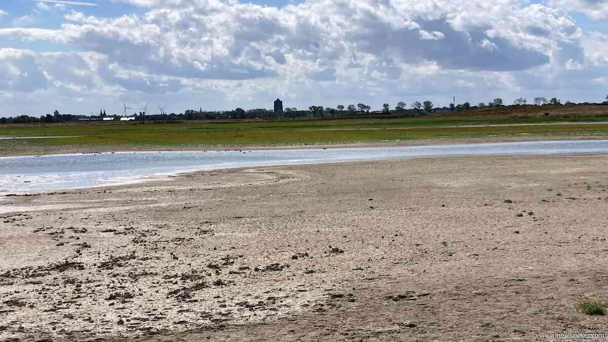 Grote zorgen over natuur door droogte: 'Kan funest zijn voor planten en dieren'