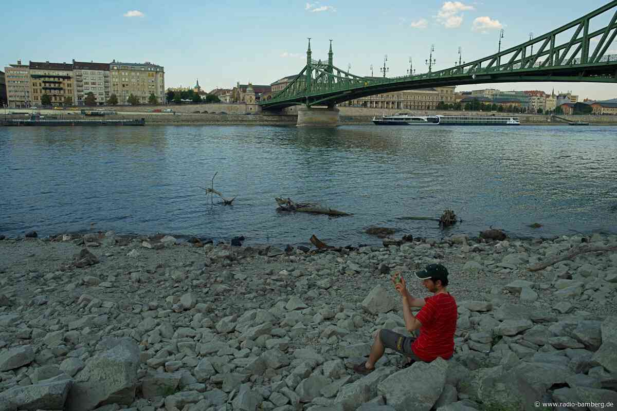 Wasserarme Donau wird zur Asservatenkammer der Geschichte