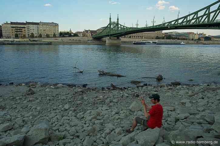 Wasserarme Donau wird zur Asservatenkammer der Geschichte