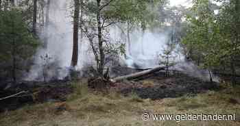 Zeer grote brand in natuurgebied tussen Schaijk en Herpen onder controle