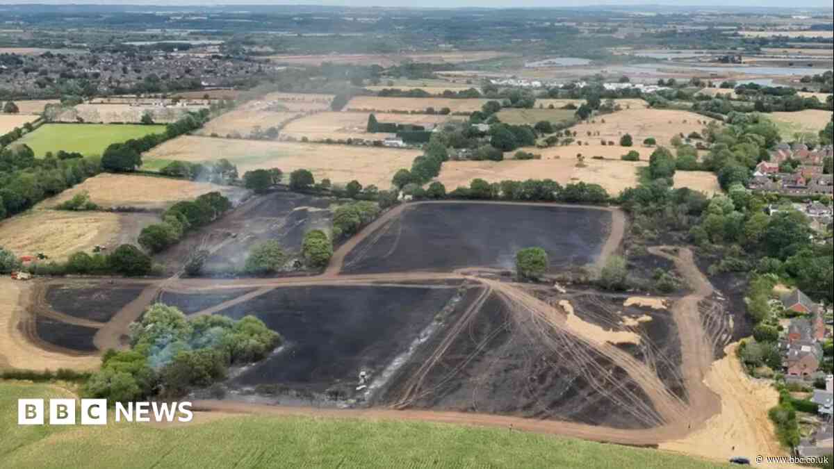 How can landscape recover after devastating fires?