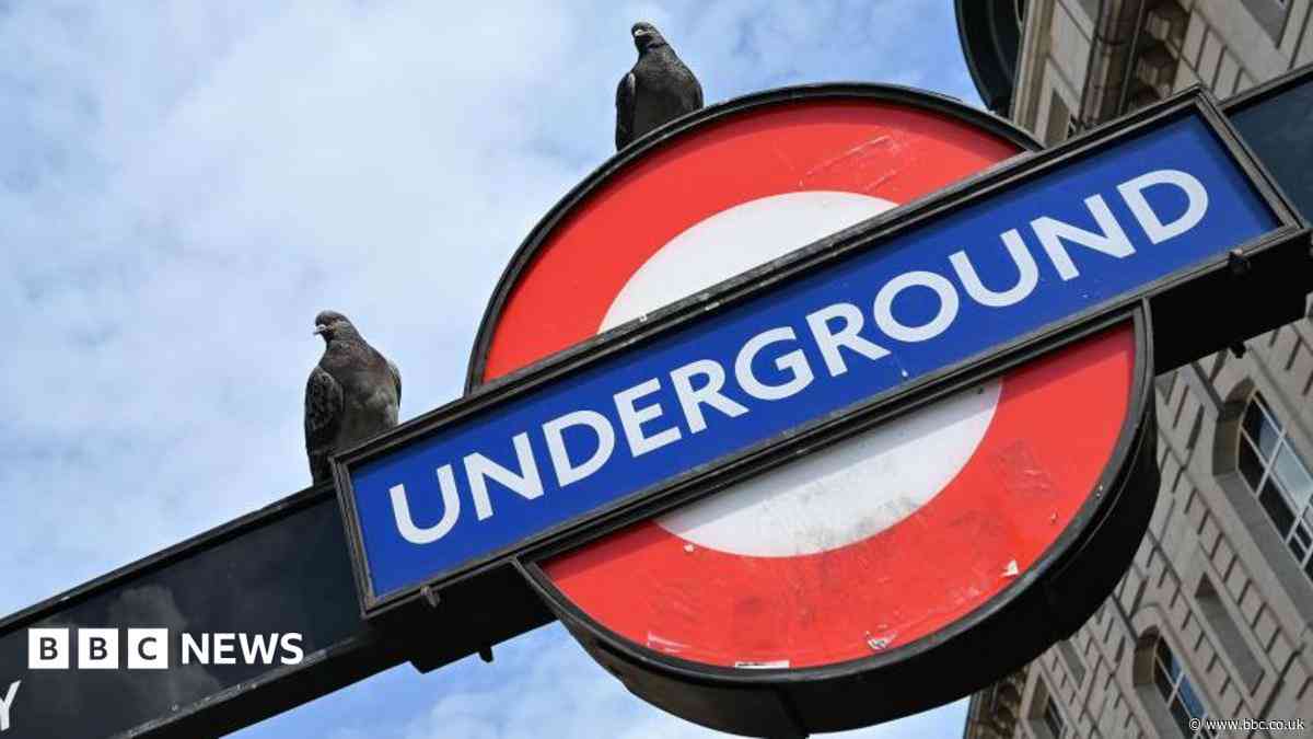 TfL defends pigeon culls 'when other methods fail'