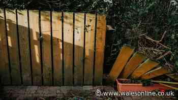Homeowner fumes as neighbour demands her to move fence without good reason