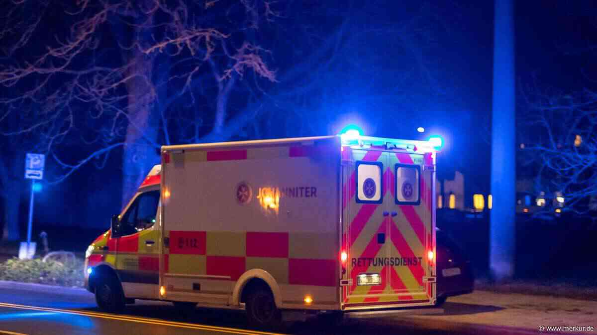 Kleintransporter kracht gegen Baum: Zwei Menschen sterben
