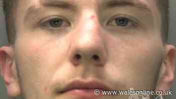 Young man preyed on vulnerable people before police knocked his door