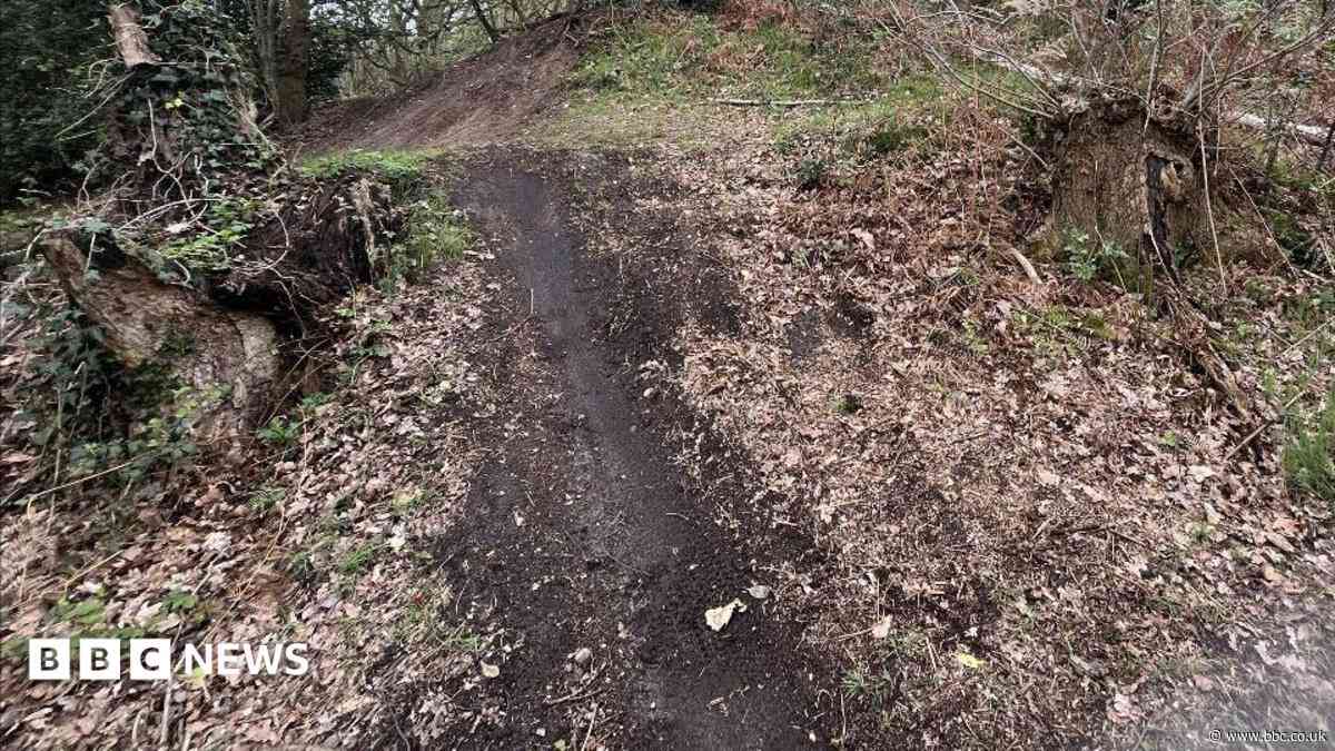 Glow-worms in danger after habitat destruction
