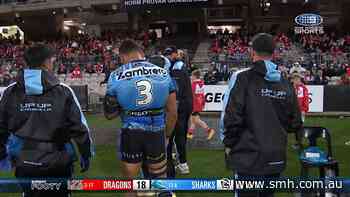 Injury blow hits Sharks star