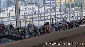 Bristol Airport update after flight chaos