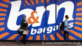 'Bedrooms and bathrooms look tidy' with 'stylish' £8 B&M 'space-saving' unit