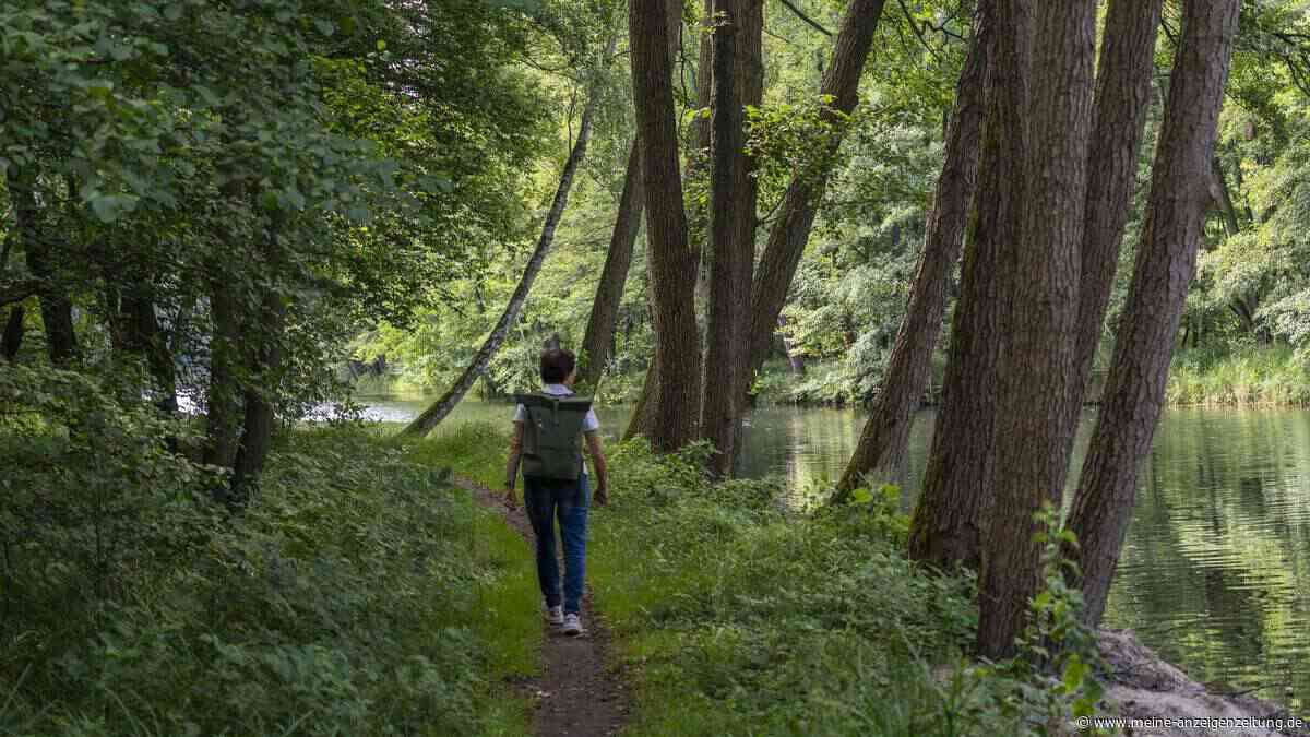 So wirkt Natur auf die Psyche: Warum Grün mehr kann als nur erholen