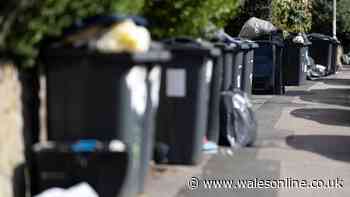 Legal rights if neighbour keeps putting rubbish in your bin explained by lawyer