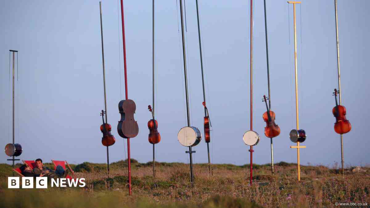 City of Culture legacy events to celebrate nature