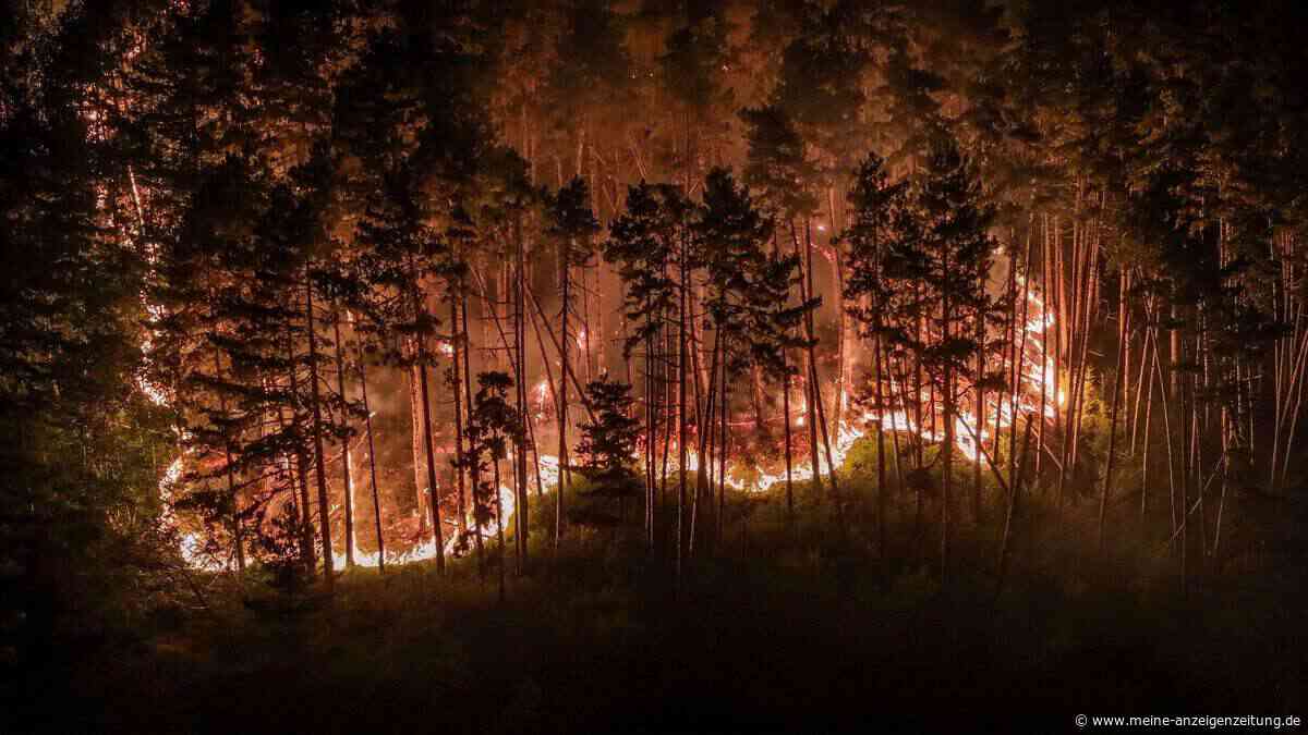 Feueralarm am Gardasee: 250 Menschen evakuiert