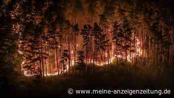 Feueralarm am Gardasee: 250 Menschen evakuiert