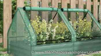 Garden lovers race to buy £154 planter with greenhouse heavily reduced to £46