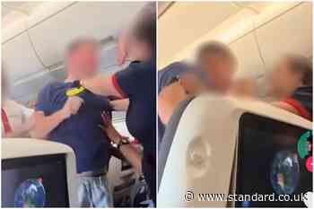 Shocking moment BA flight attendant holds back drunk passenger before he is arrested at Heathrow