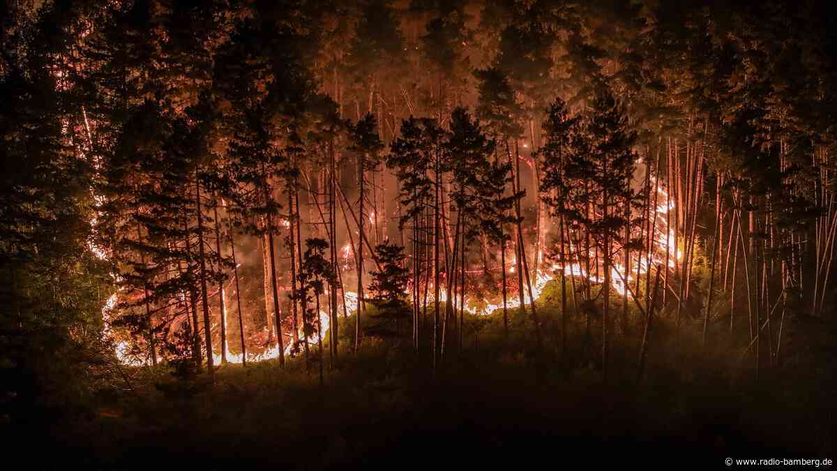 Feueralarm am Gardasee: 250 Menschen evakuiert