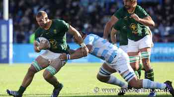 Welsh-qualified Springboks star makes headlines after turning down Wales