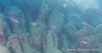 2,000-year-old Roman shipwreck discovered off coast of Sicily