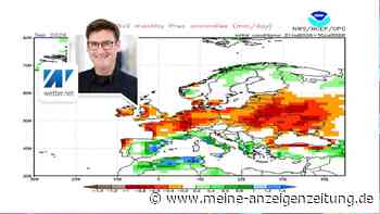 Wieder rollen bis zu 40 Grad an – bleibt es bis in den September glühend heiß in Deutschland?