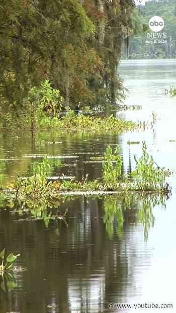 Flesh-eating bacteria kills at least 5 in Louisiana