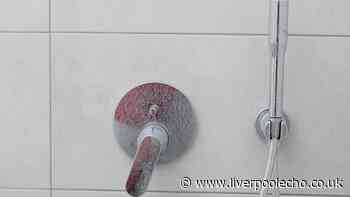 Limescale will vanish from showers in just 10 minutes with a natural kitchen ingredient