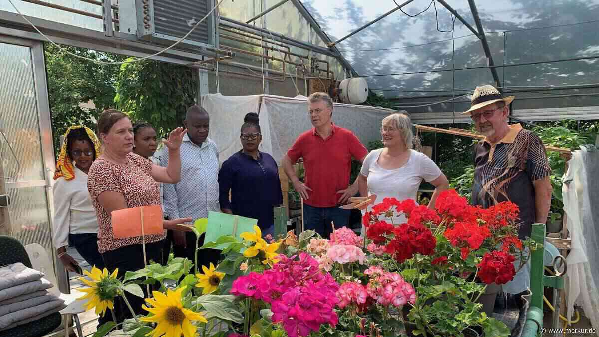 Delegation aus Tansania bestaunt Agrar-Photovoltaik und Tomaten