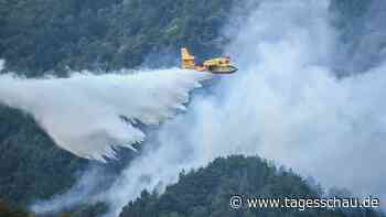 Waldbrand am Gardasee unter Kontrolle