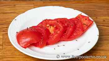 Two items to put in your kitchen that fruit flies can't stand