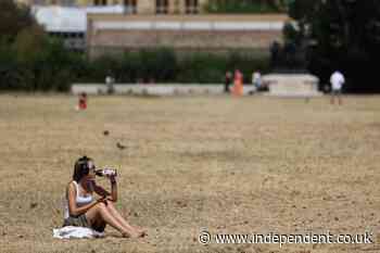 Common painkillers increase risk of sunburn, health watchdog warns