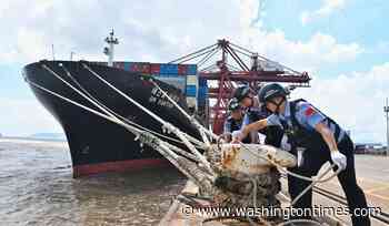 Shanghai cancels 1,300 flights as Typhoon Dolphin hits China's eastern coast