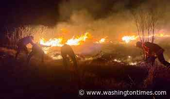 Wildfire in Indonesian national park grows