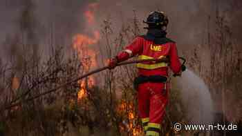 8000 Hektar in Flammen: Einsatzkräfte kämpfen gegen neuen Waldbrand in Südspanien