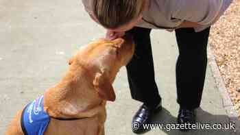 Dog therapy sessions improving mental health for Middlesbrough spinal patients