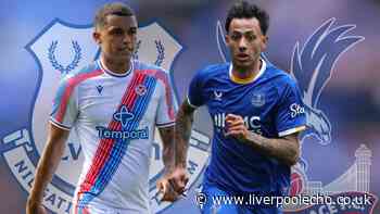 Dwight McNeil and Brennan Johnson compared as Everton progress in Crystal Palace swap deal