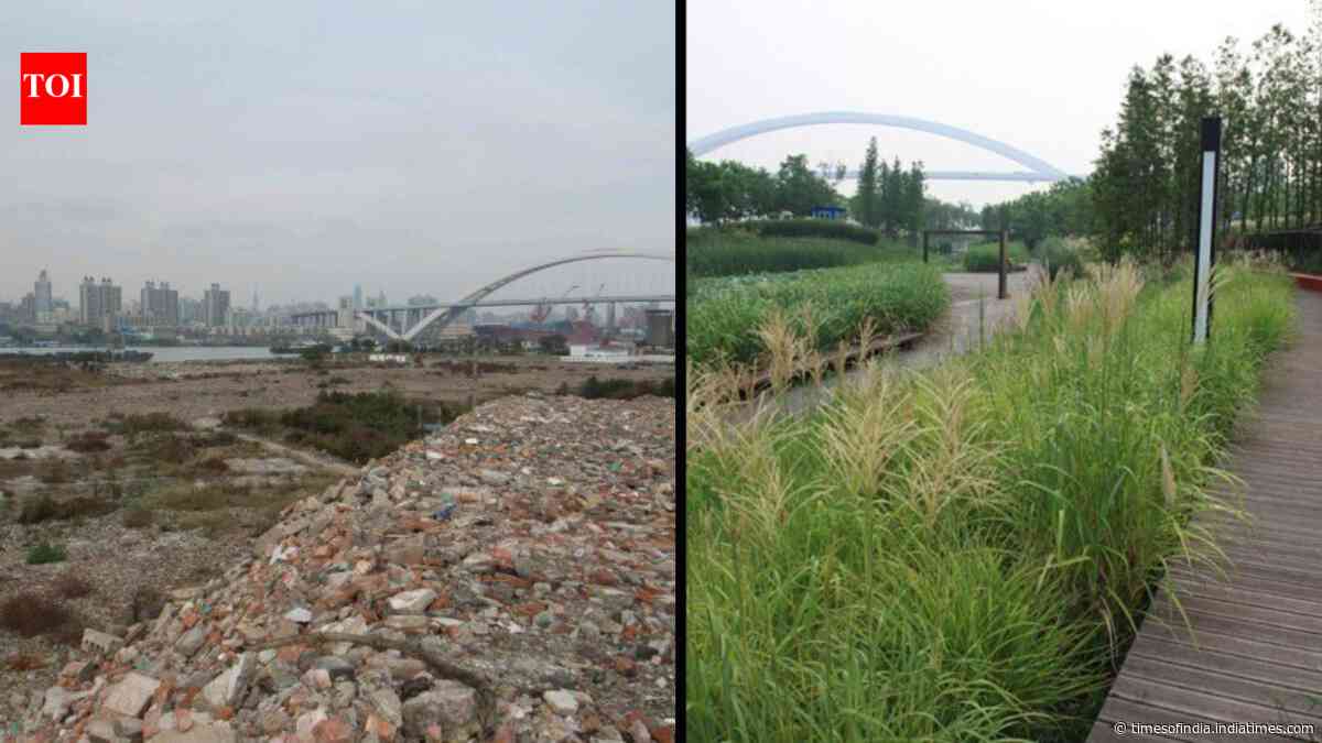 In 2010, Shanghai turned a polluted industrial brownfield into Houtan Park