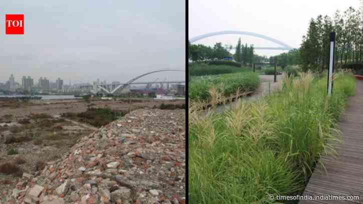 In 2010, Shanghai turned a polluted industrial brownfield into Houtan Park