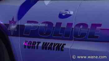 FWPD search for four children in kidnapping case