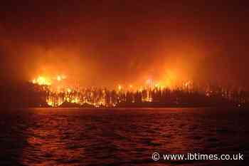 Don't Trust Your Sat-Nav: Fleeing Drivers Guided Into Path of Infernal BC Wildfire by Phone Apps
