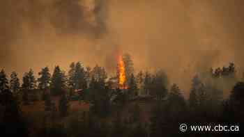B.C. declares provincewide state of emergency amidst wildfires
