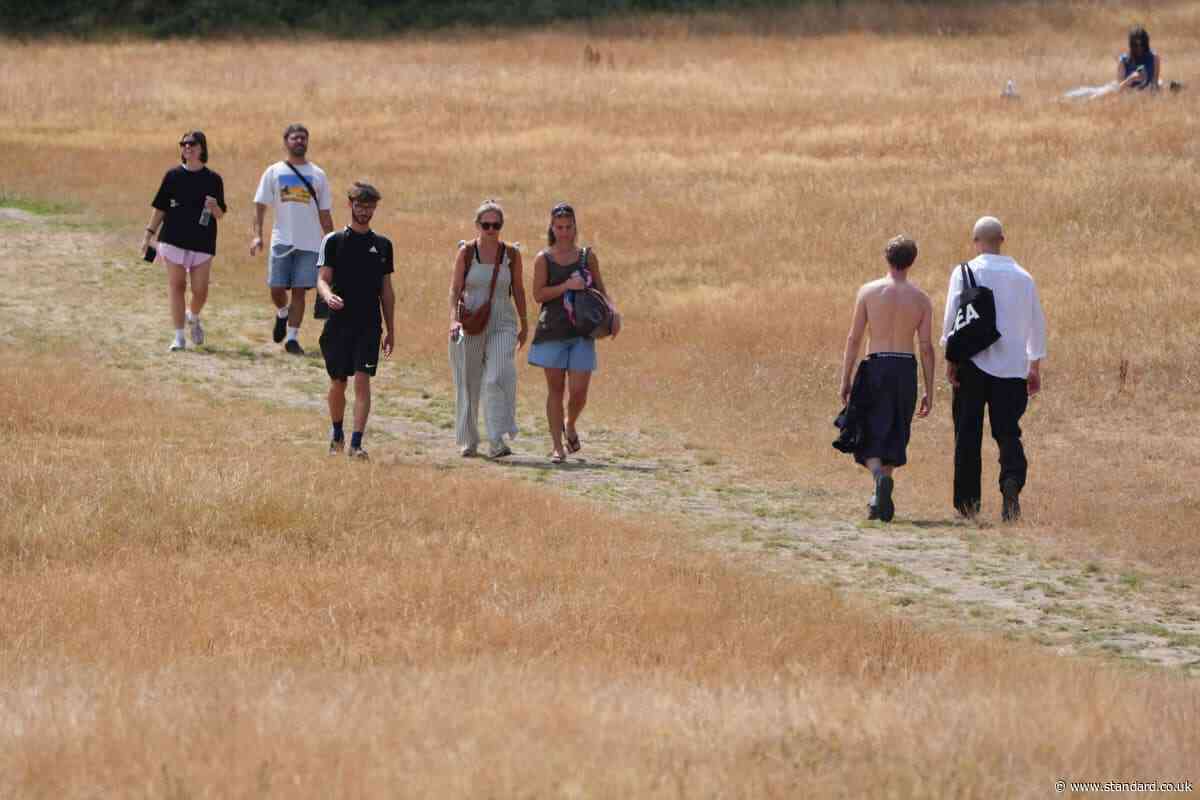 No respite on the way for sun-scorched UK as dry, hot weather persists