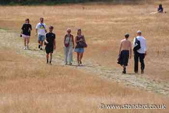 No respite on the way for sun-scorched UK as dry, hot weather persists