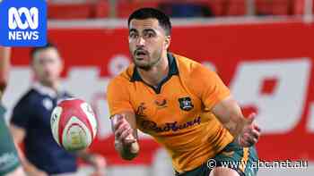 'Licence to play': New Wallabies coach backing players in attack