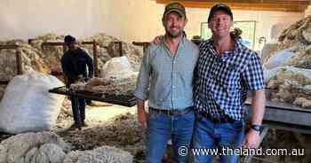 Behind the low-rainfall farming method that almost triples carrying capacity