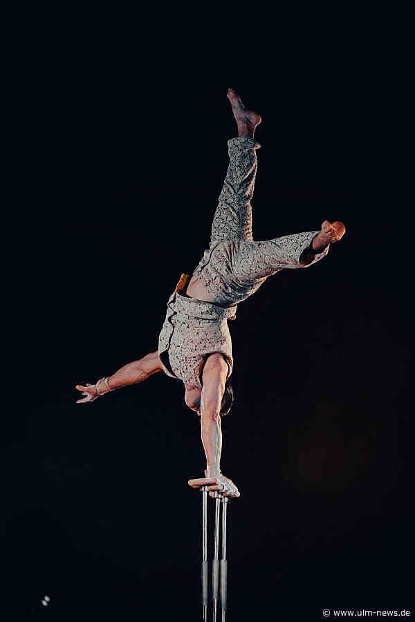Circus Roncalli in der Nähe von Ulm: Hier kannst du dich verzaubern lassen